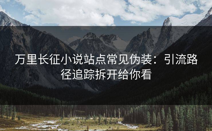 万里长征小说站点常见伪装：引流路径追踪拆开给你看