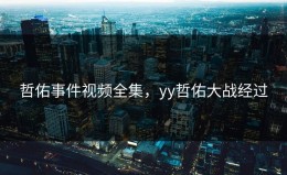 哲佑事件视频全集，yy哲佑大战经过