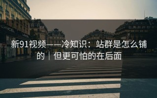 新91视频——冷知识：站群是怎么铺的｜但更可怕的在后面