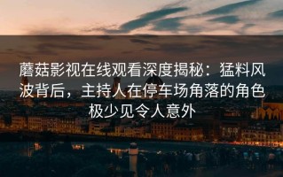 蘑菇影视在线观看深度揭秘：猛料风波背后，主持人在停车场角落的角色极少见令人意外