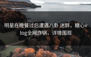 明星在晚餐过后遭遇八卦 迷醉，糖心vlog全网炸锅，详情围观
