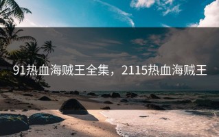 91热血海贼王全集，2115热血海贼王