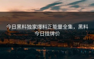 今日黑料独家爆料正能量全集，黑料今日挂牌价