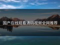 国产在线观看清码视频全网推荐