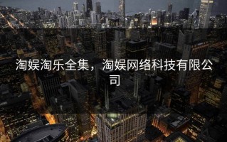淘娱淘乐全集，淘娱网络科技有限公司