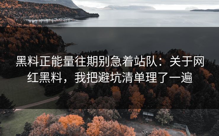 黑料正能量往期别急着站队：关于网红黑料，我把避坑清单理了一遍-第1张图片-黑料官网入口 - 最新娱乐爆料导航