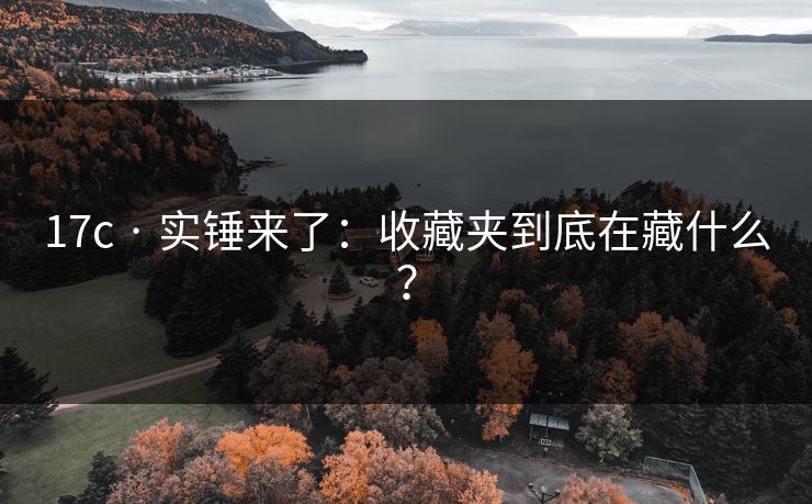 17c · 实锤来了:收藏夹到底在藏什么?-第1张图片-黑料官网入口 - 最新娱乐爆料导航 17c · 实锤来了:收藏夹到底在藏什么?-第1张图片-黑料官网入口 - 最新娱乐爆料导航